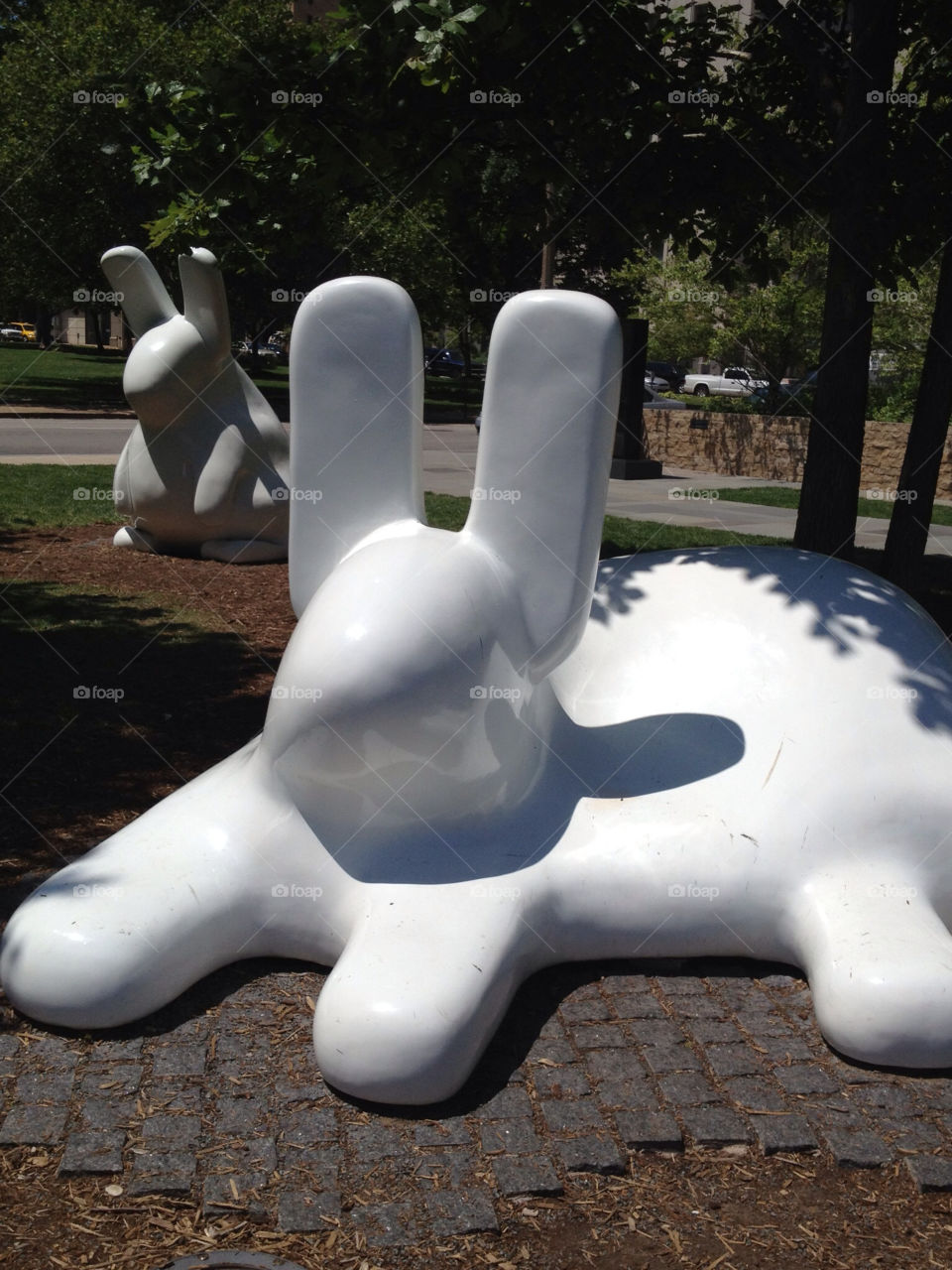 It's rabbit season at the St Louis City Garden