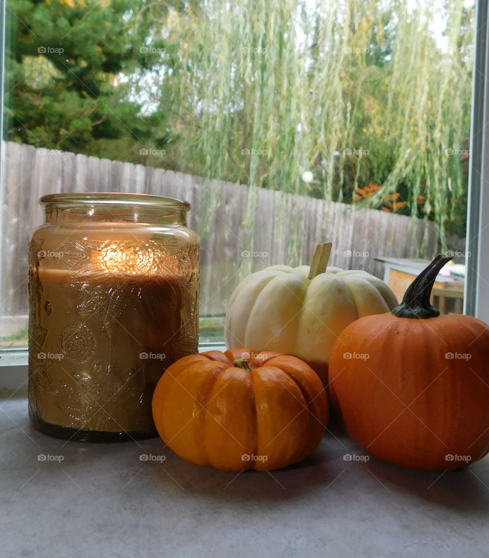 candle pumpkin window decorations fall holidays