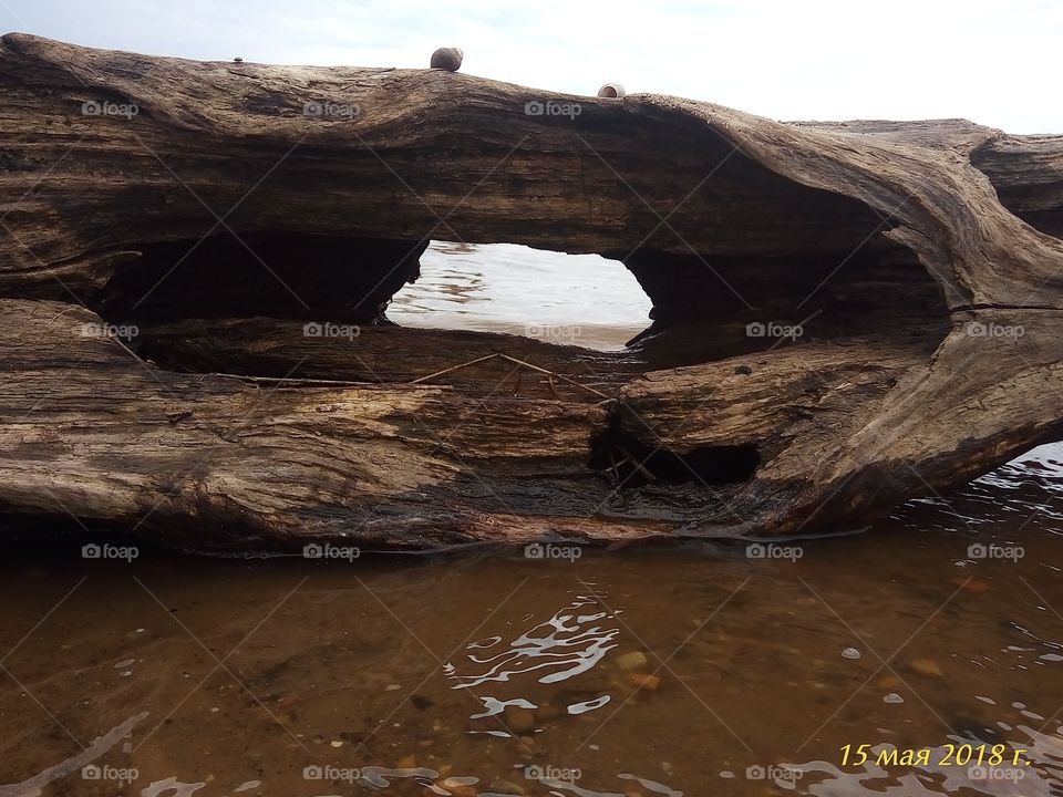 природа.река.бревна.деревянные.дерево.вода.