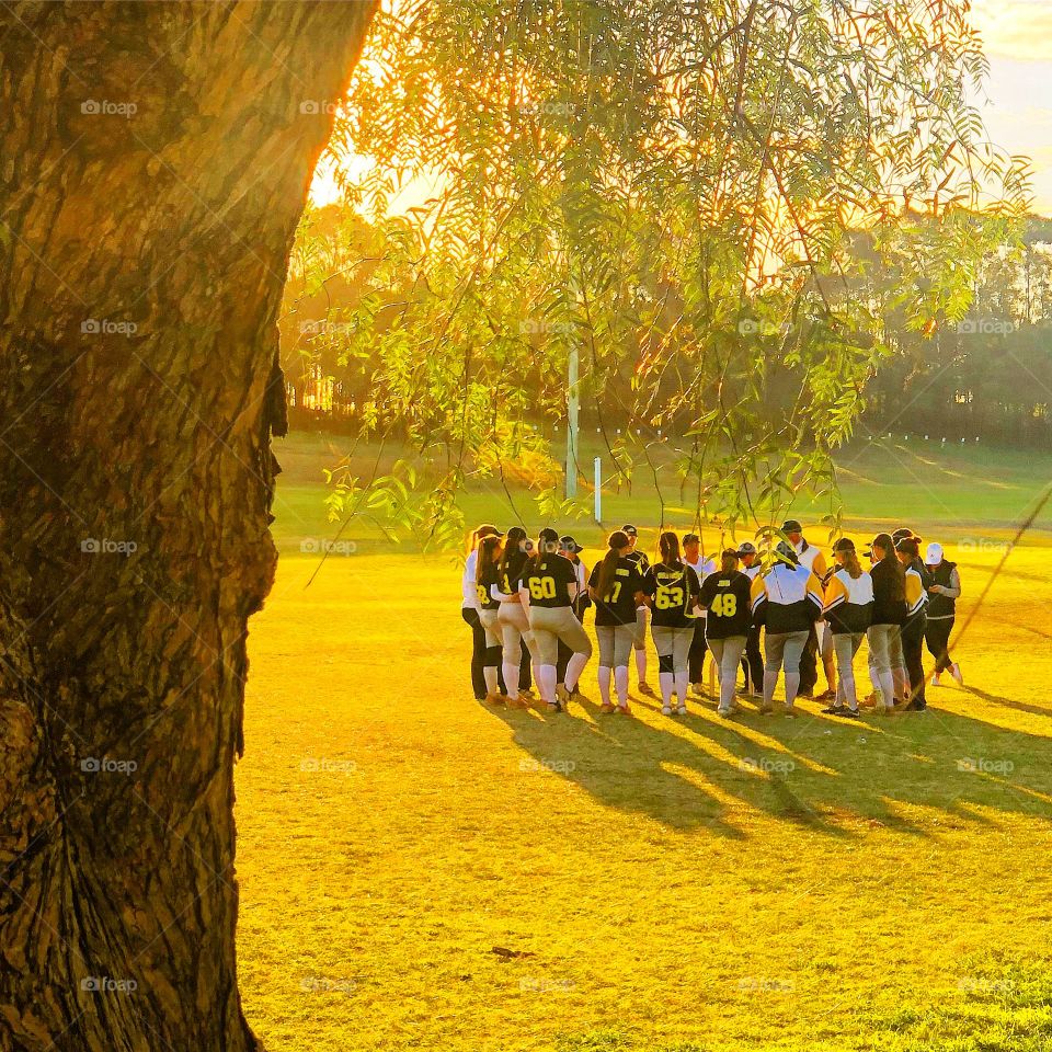Team meeting at the end of the hand under the tree at sunset 