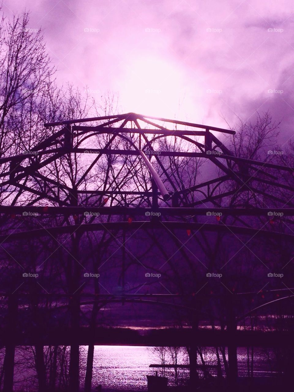 Purple reflections 
