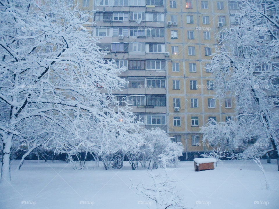 winter in the city of Kiev