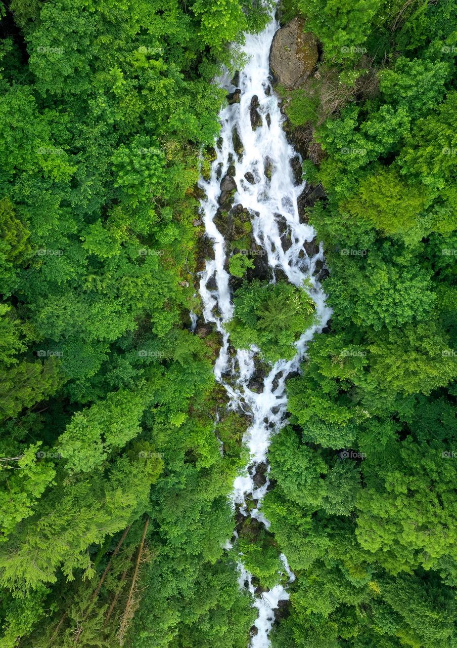 A waterfall surrounded by green plants