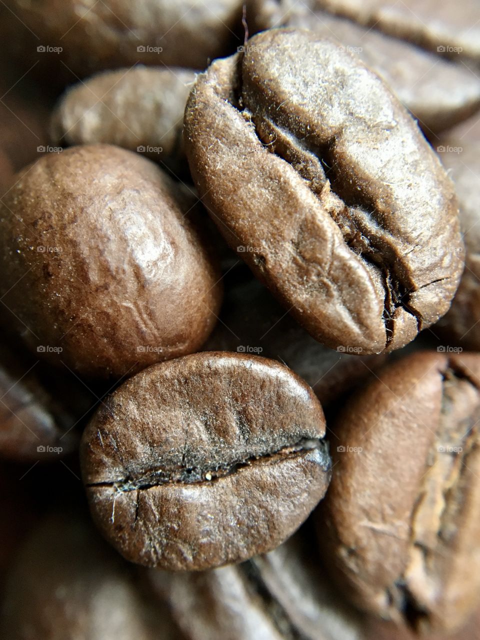 Coffee beans in macro 