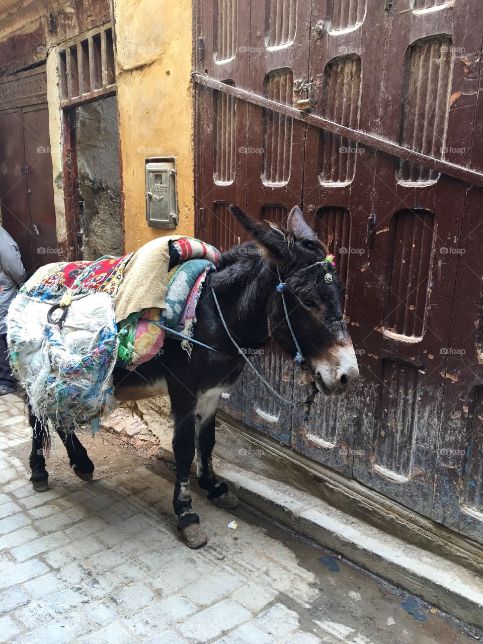 Street, Building, Urban, Old, City