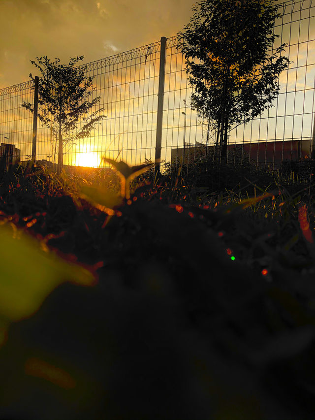 Beautiful sunset 