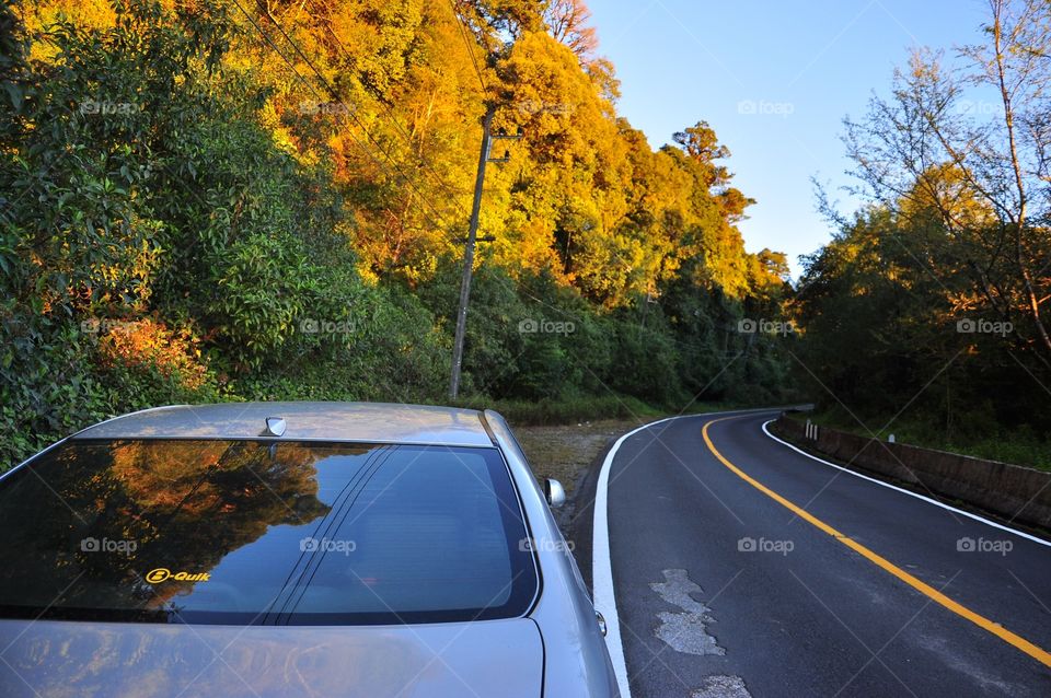 Road, Car, Transportation System, No Person, Tree