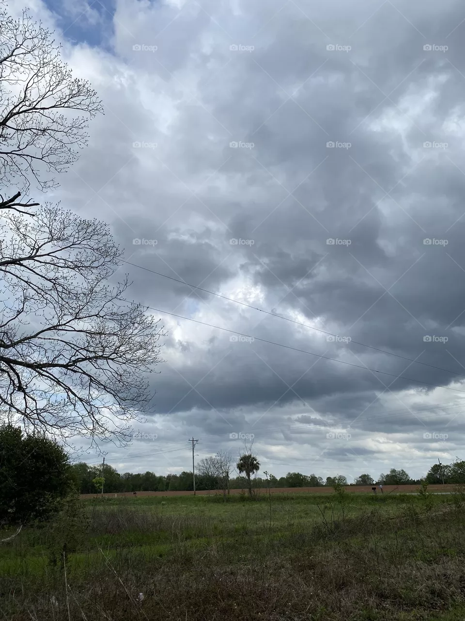 Before the storm 