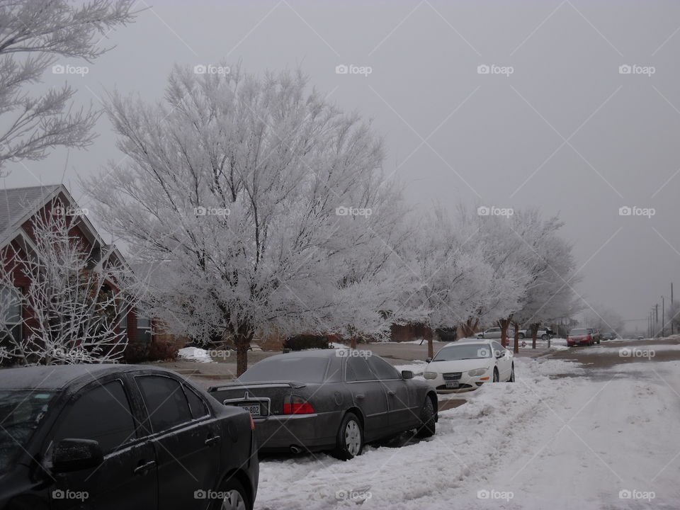 North Texas winter