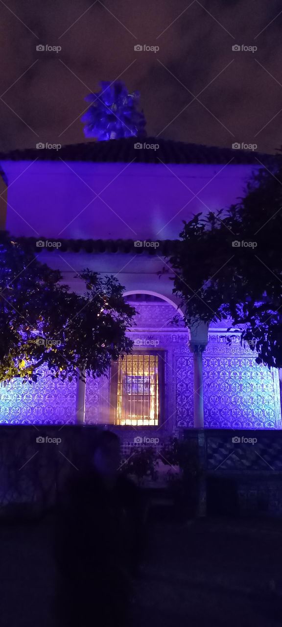 Reales Alcázares de Sevilla: Ventana y espectáculo de luces al atardecer