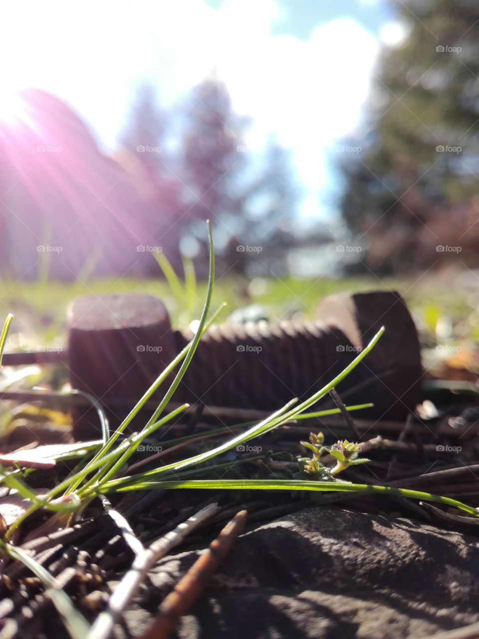 bis, boulon, pollution