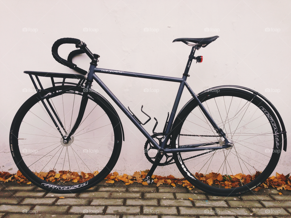 My brakeless black-grey fixie bicycle in front of the white wall
