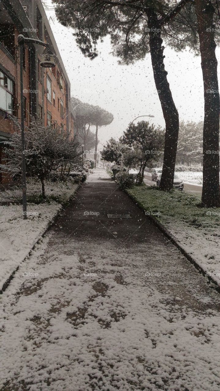 snow on Camposano