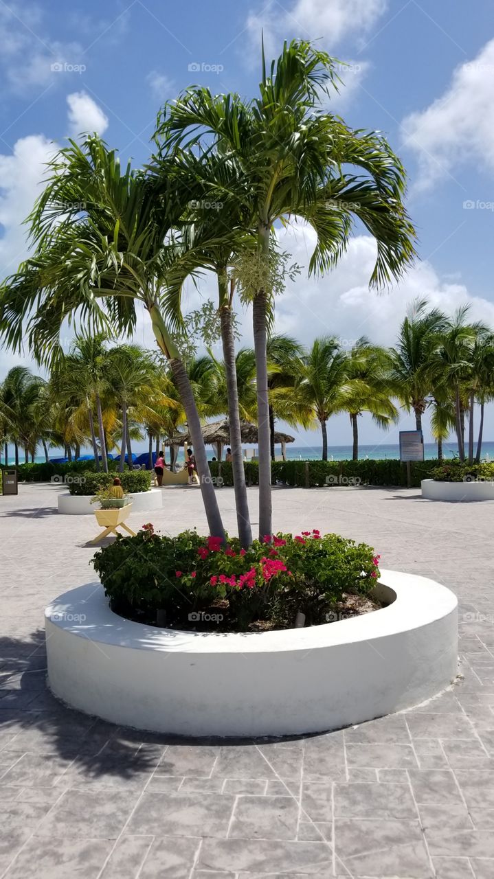 Beautiful Foilage On Vacation