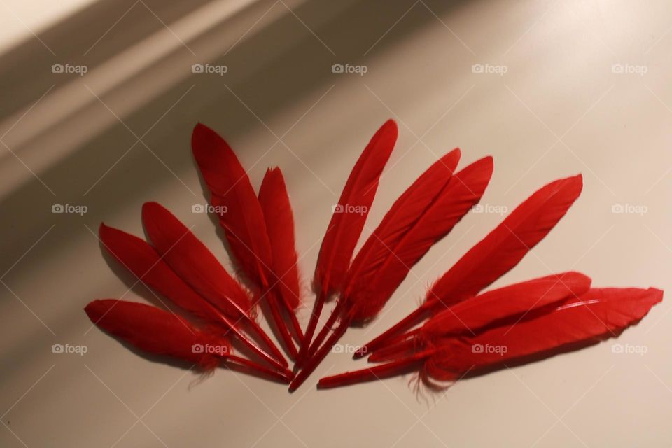 Multiverse of red feathers