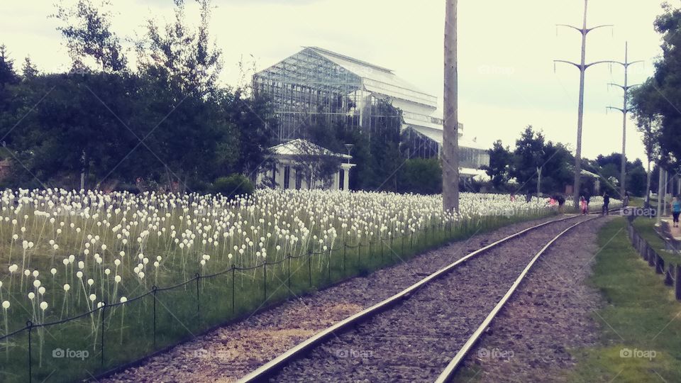 A field of sun-bobbers near the Nicholas Conservatory.  At night they will be lit and look wonderful.