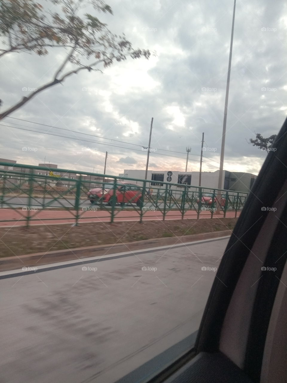 True Nature, No Filters # Truephotos