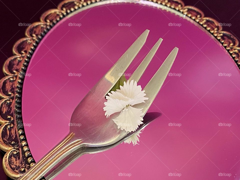 Fork