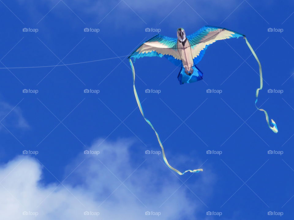 Kites. Kite flying