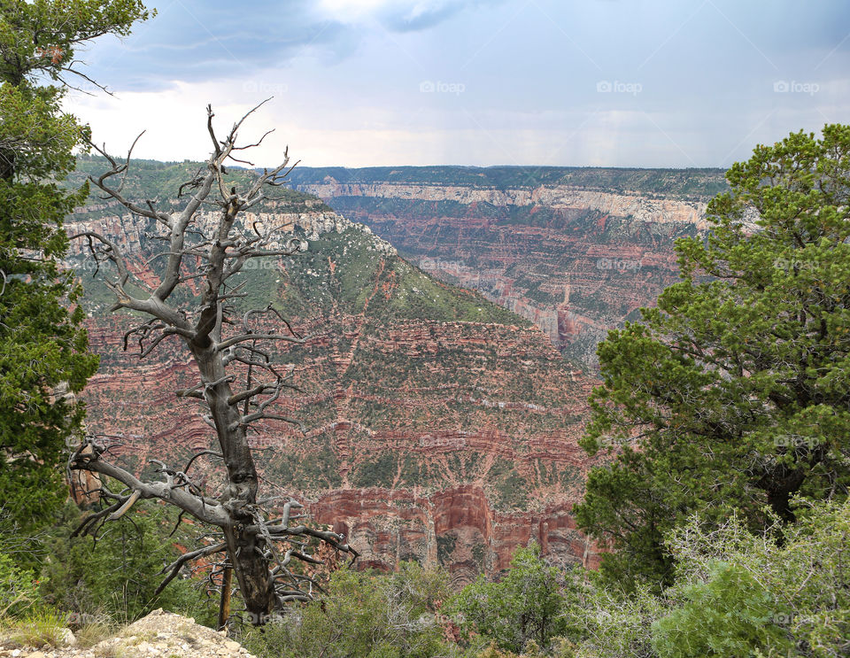 Grand Canyon 