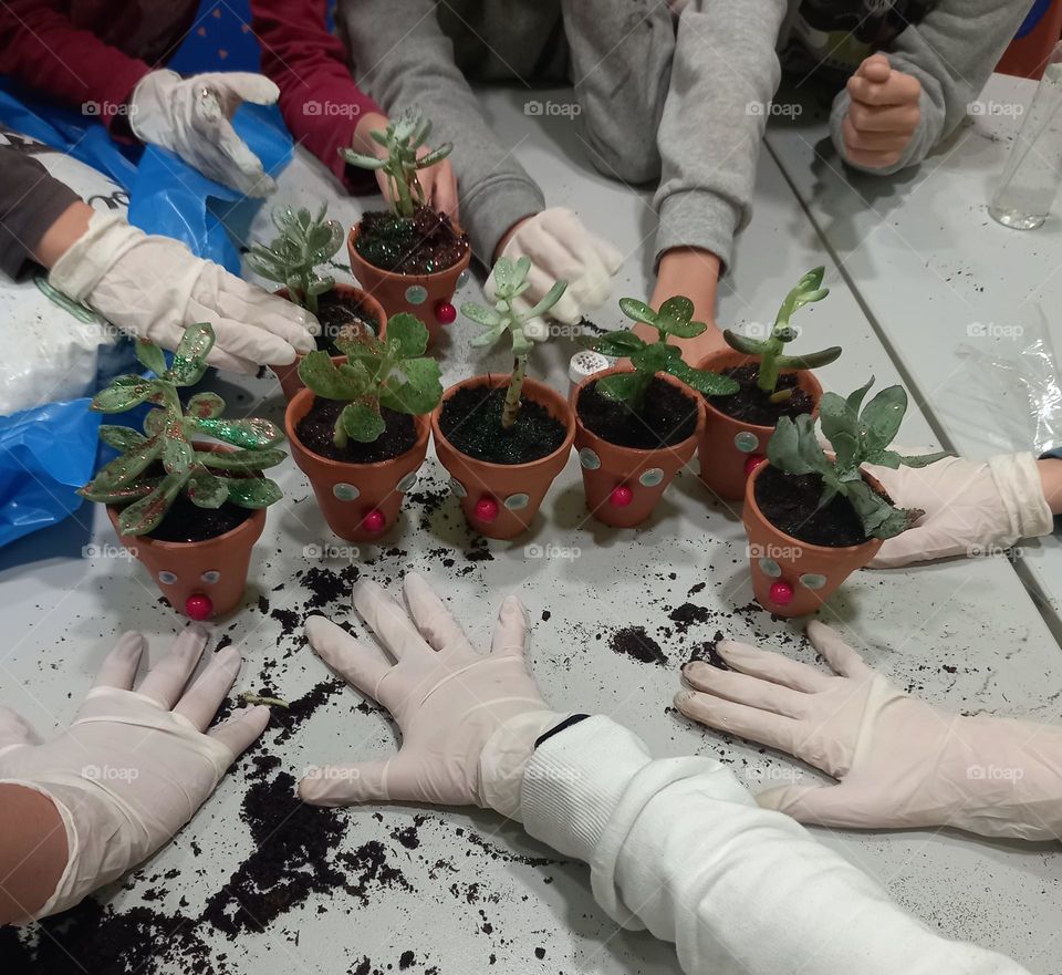 A cool way for kids to learn things about planting... This is about a project where we decorated the pots and then transplant these little plants. We learned new words, created new skills but most of all, we had fun in the process.