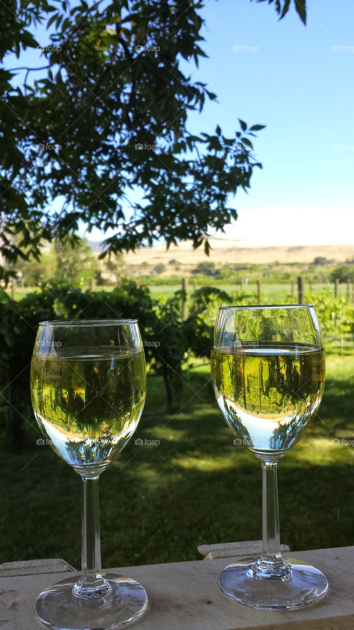 reflection of vineyard in wine glasses