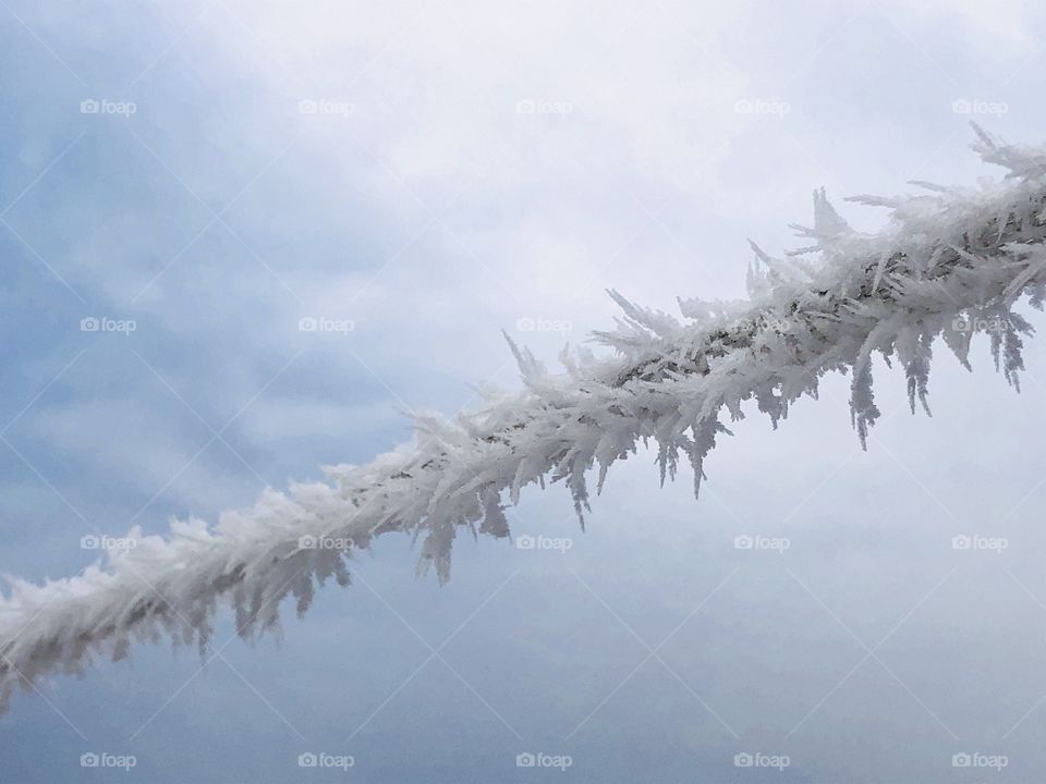 Frost on wire in December