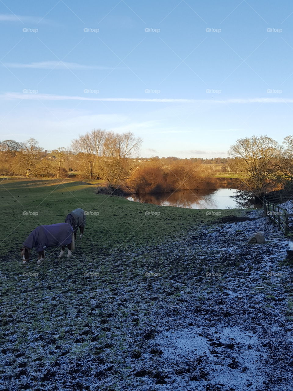 winter view