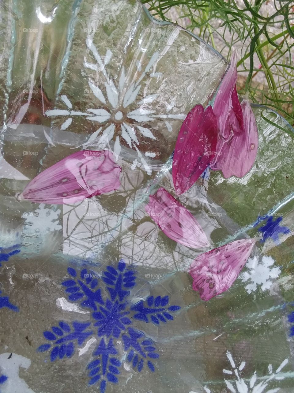 petals in bowl