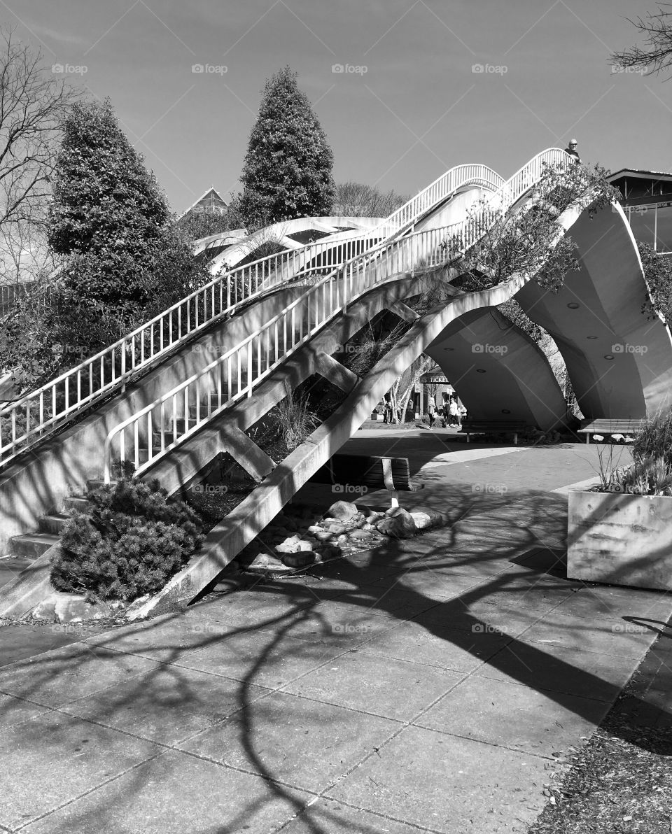 Black and white photo of a cool bridge at the Tennessee Aquarium in Chattanooga. 
