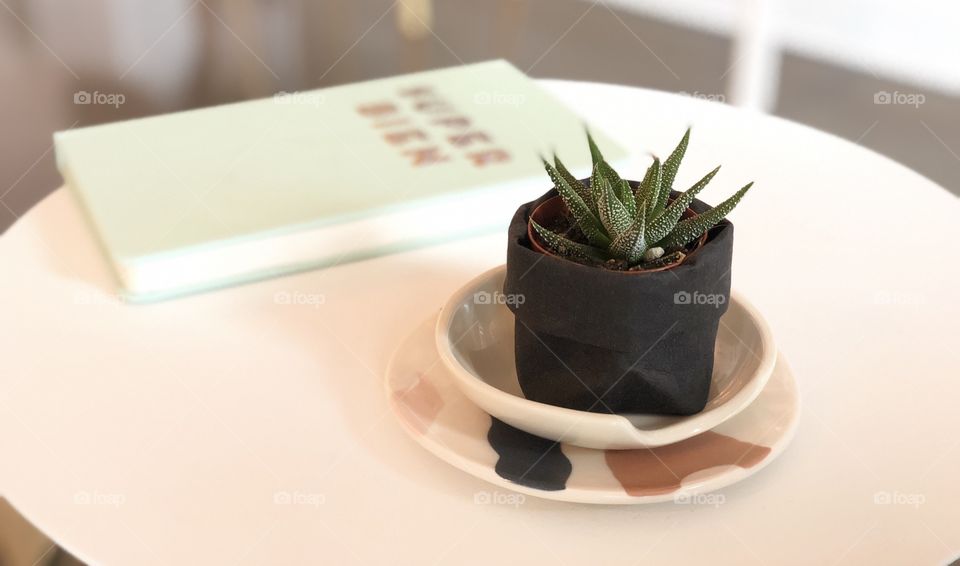 Tiny plant decor