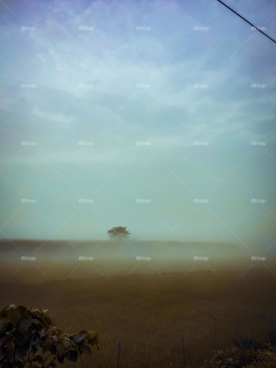 beautiful hew hd view