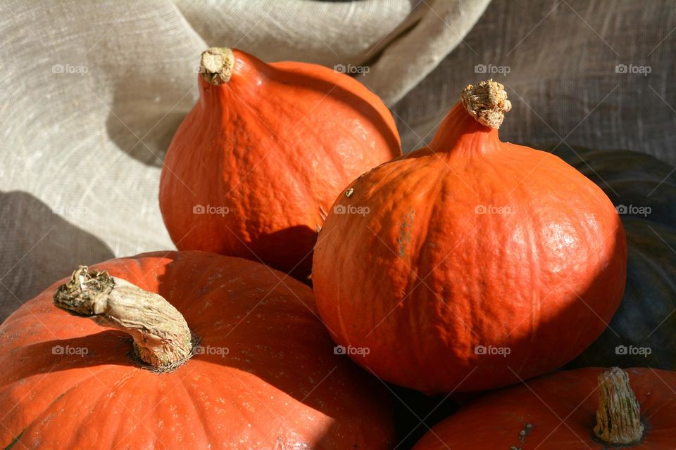 pumpkins Halloween holidays