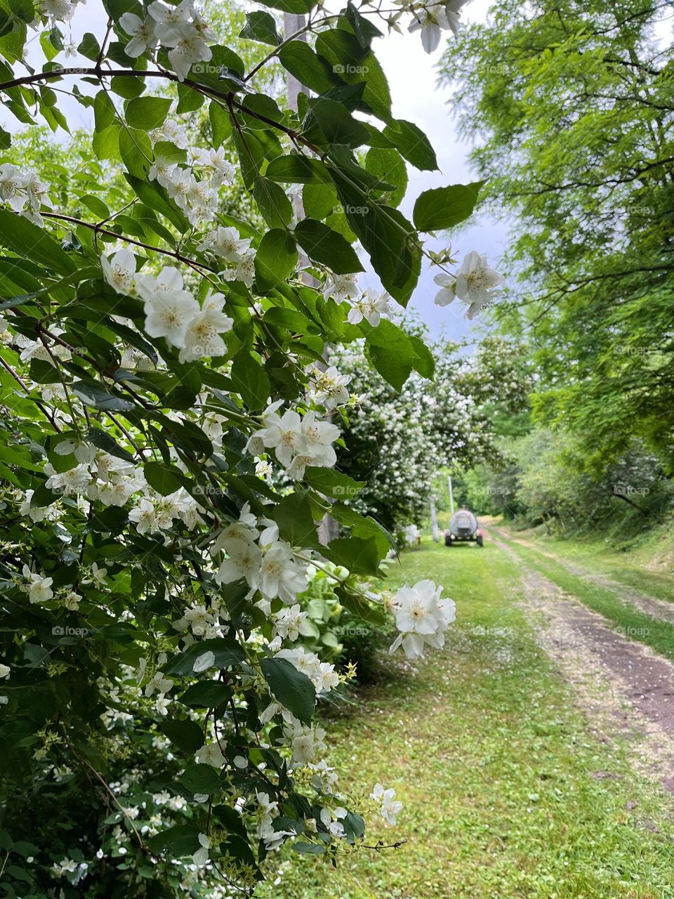 Ukrainian countryside 