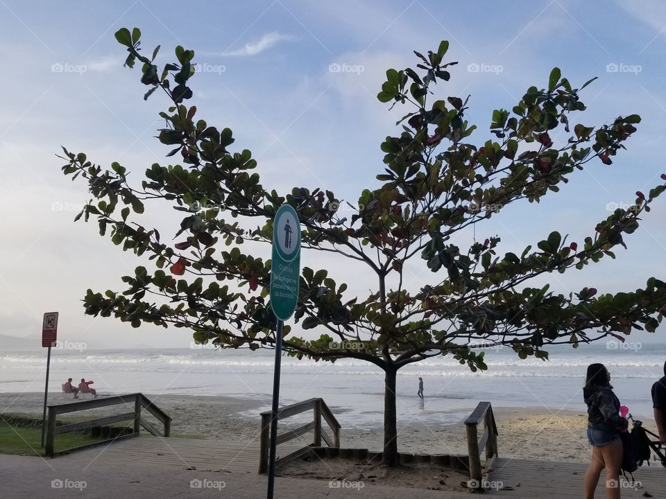 Céu, mar... Liberdade, Salve, Salve à natureza! 🙏 Praia de Itapema, Santa Catarina. 😍