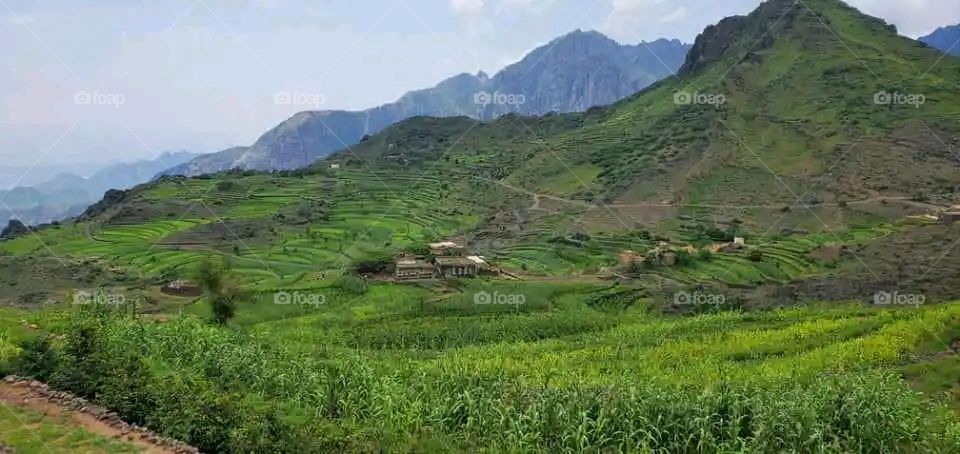 Glory be to God, the magnificent and picturesque view and the natural green trees are a view that is nothing more wonderful than it