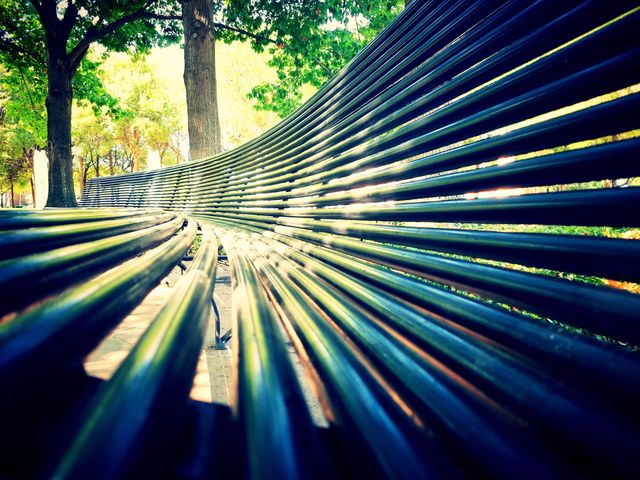 Park Bench Perspective