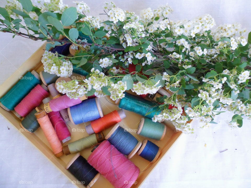 white spring flowers and multi-colored thread for sewing on a white background