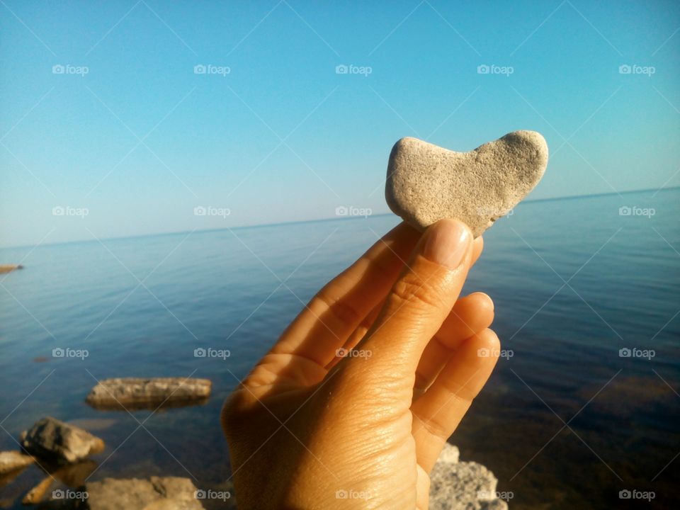 Water, Beach, Sea, Seashore, No Person