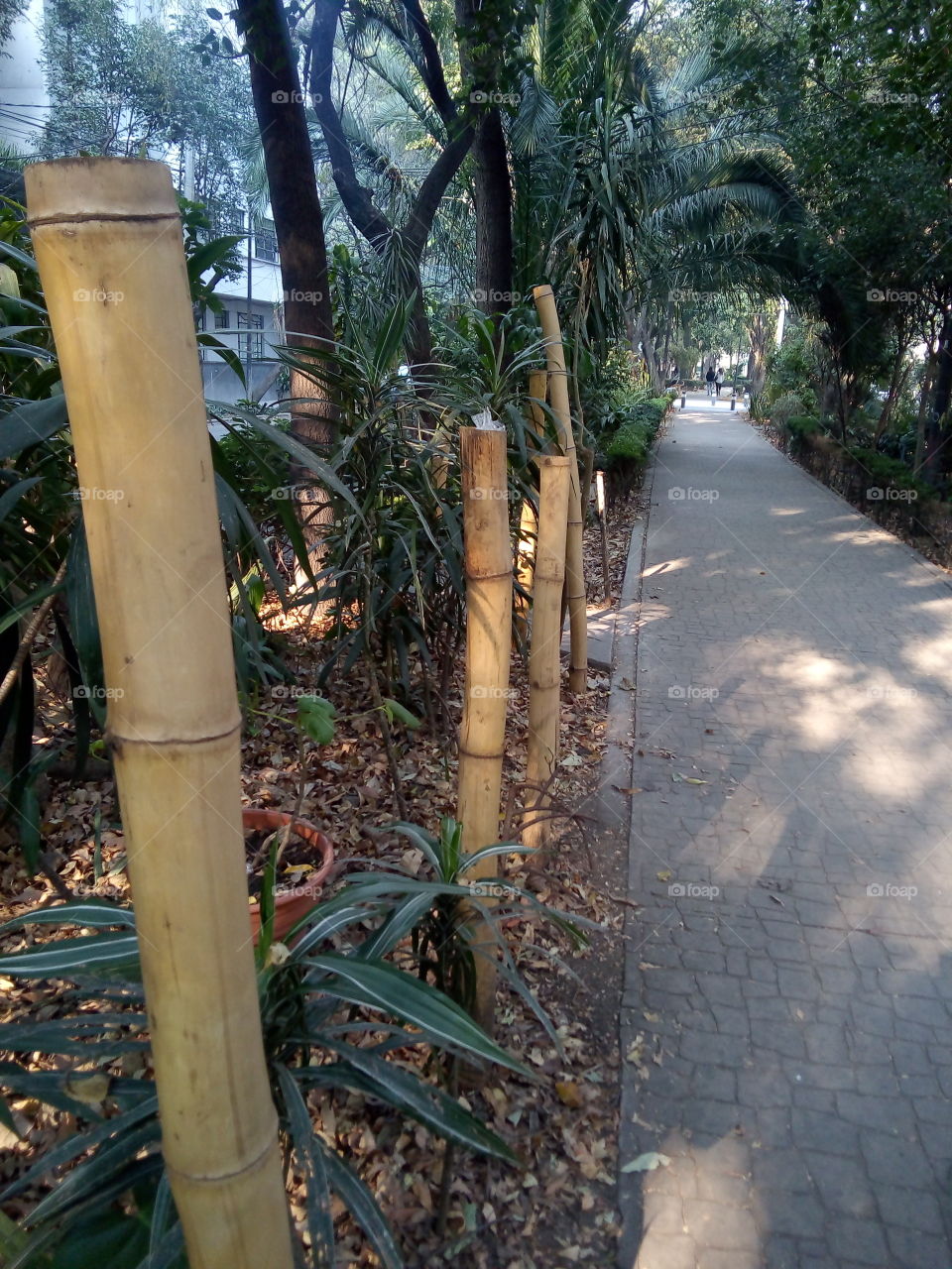 camino para recreación dentro de la ciudad con piso de piedra y árboles y plantas aún lado.