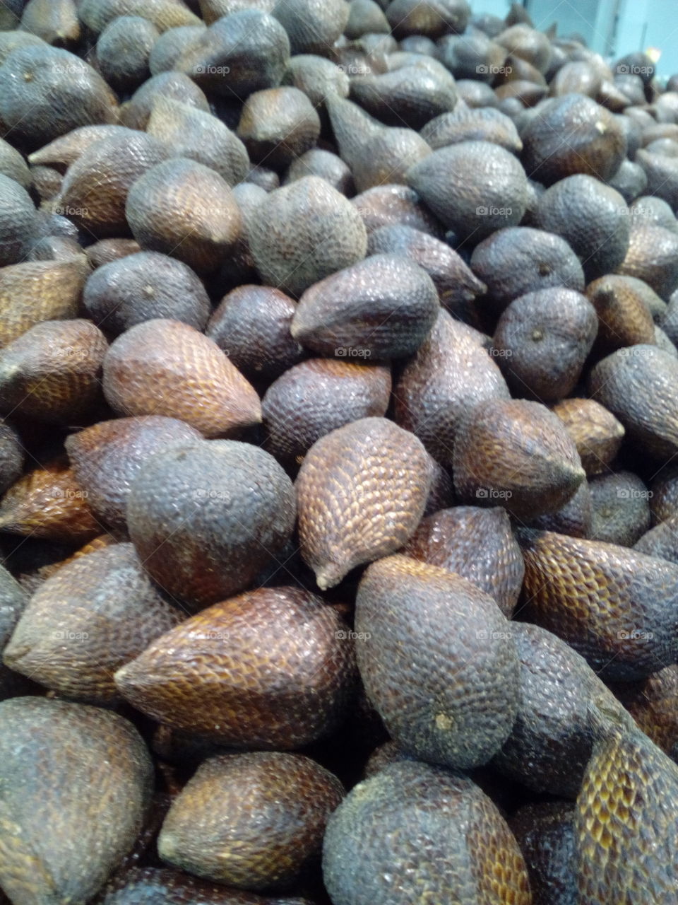 salak