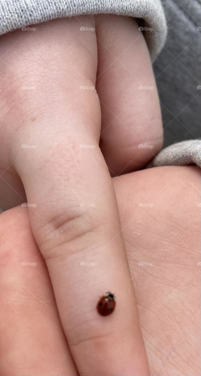 Ladybug crawling on the end of little girls pointer finger