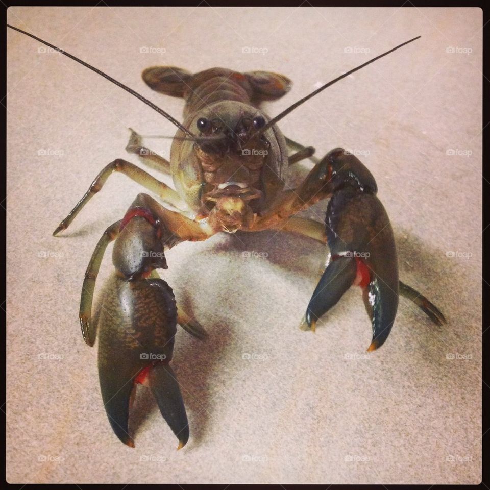 Hey there Mr Snippy!