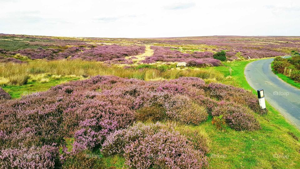 the north yorkshire moors by road