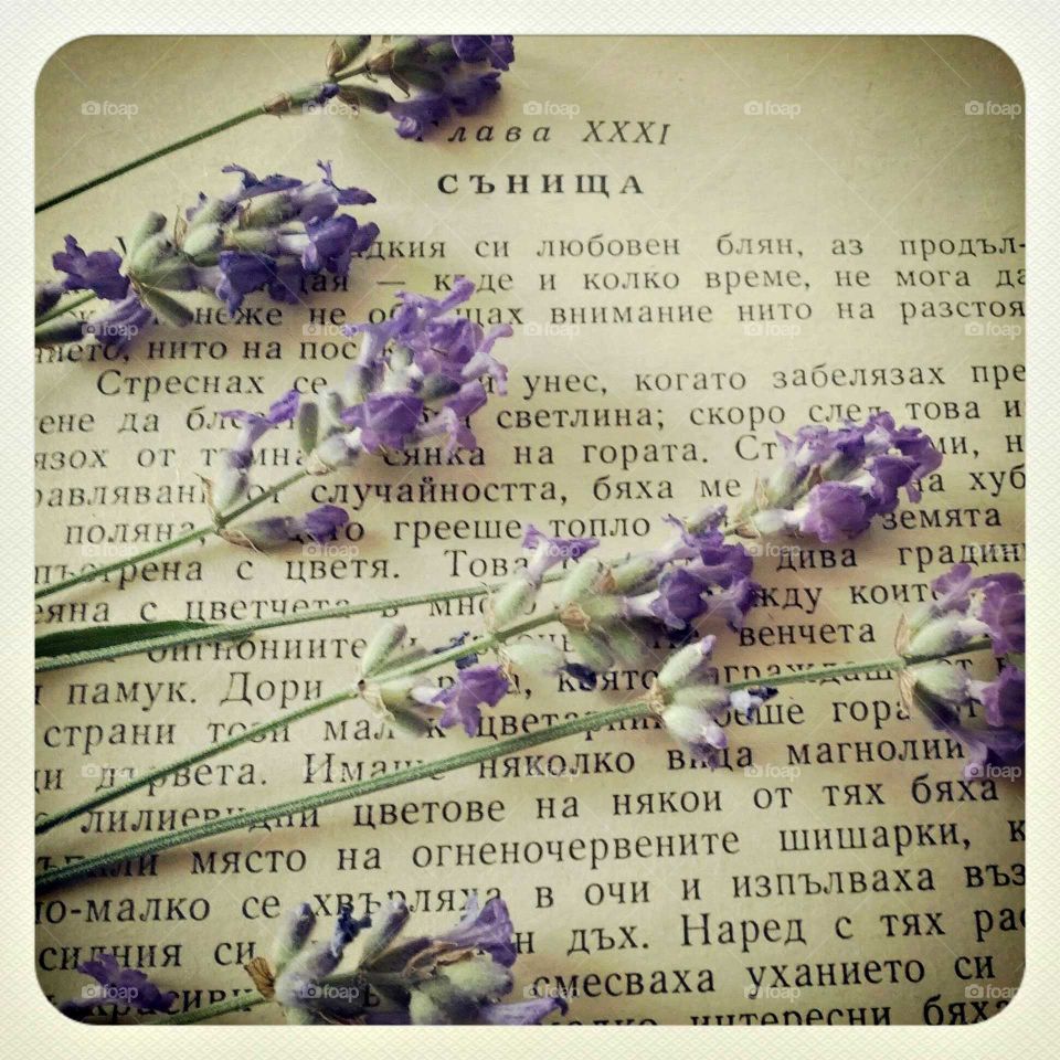 Books & Lavender