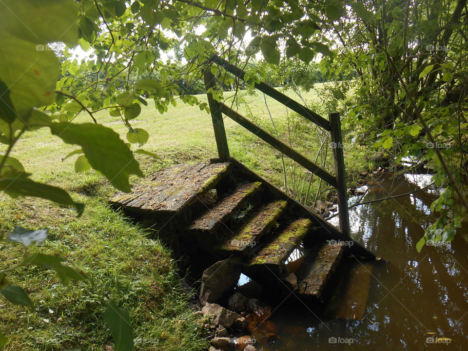Un escalier en bois venant dans un lac entouré de feuillage
