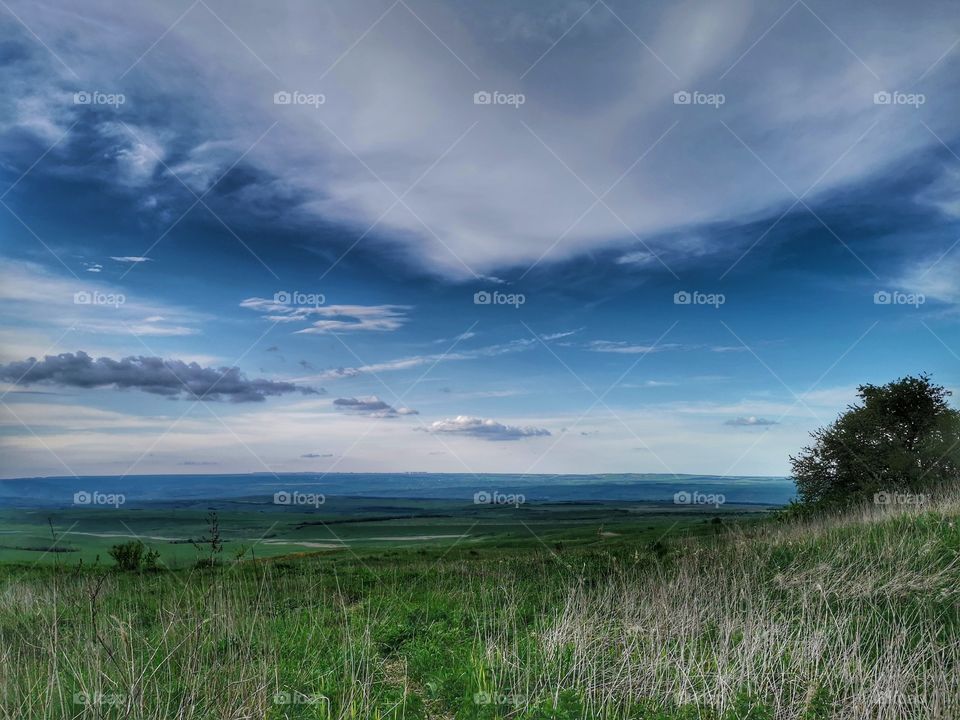 Forest day outdoor nature greens wild forest greens sky clouds moody