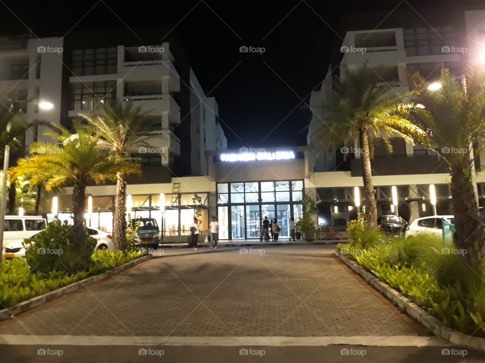 Commercial Building with a very Welcome Style with Date trees, green plants and very luminated at Night time to attract customers.