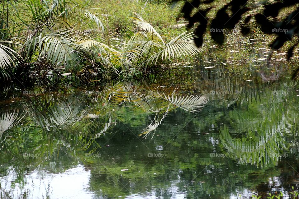 beautiful lake in ohafia