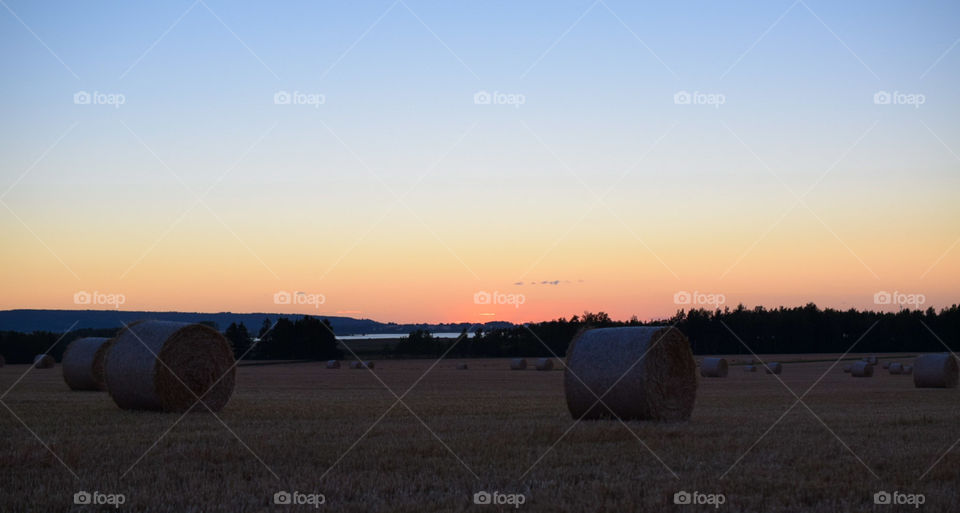 solnedgång över ett fält med höbalar i mjölby